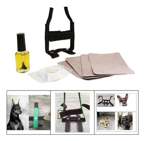 4 De Fijación De Orejas De Perro Doberman, Soporte De Pie