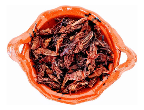 Chapulines Mini Oaxaqueño Comestible 1kilogramo Chile Y Ajo