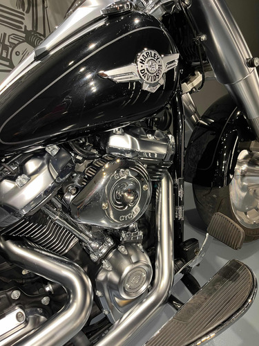 Imagen 8 de 20 de Harley Davidson Fat Boy 114 Df_motorcycles