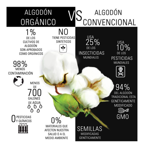 Polera Contador Profesiones Algodón Orgánico Wiwi