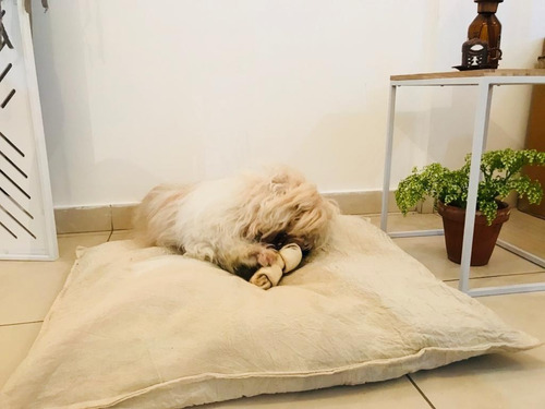 Imagen 2 de 10 de Almohadon Y Funda Para Colchón Mascota Tussur 50x70cm