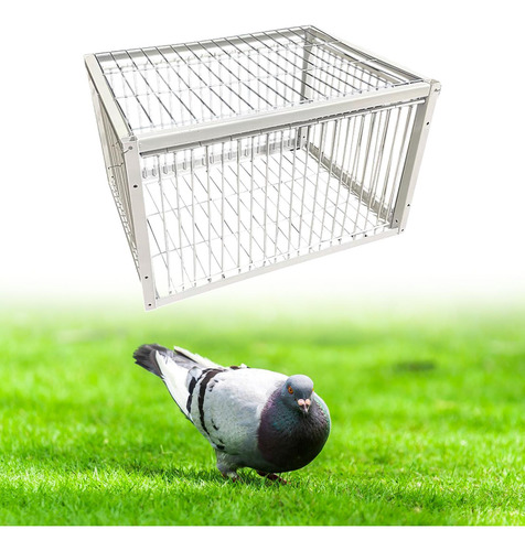 Gallinero Para Palomas, Resistente Al, Colección 4 Entrada