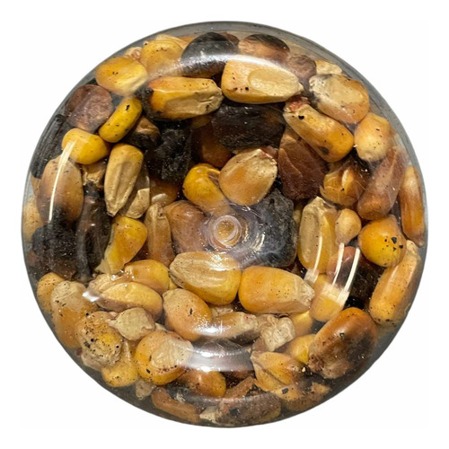 Maiz Tostado Santeria Ofrenda 250 Gr ( 5 Botes)