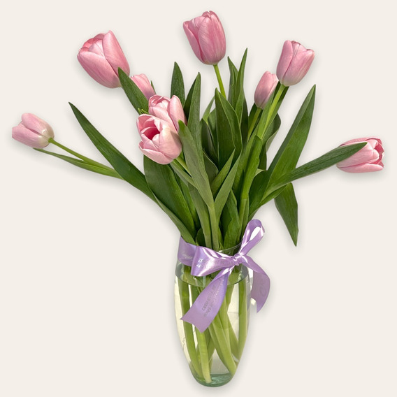 Tulipanes Flores Naturales | MercadoLibre ????