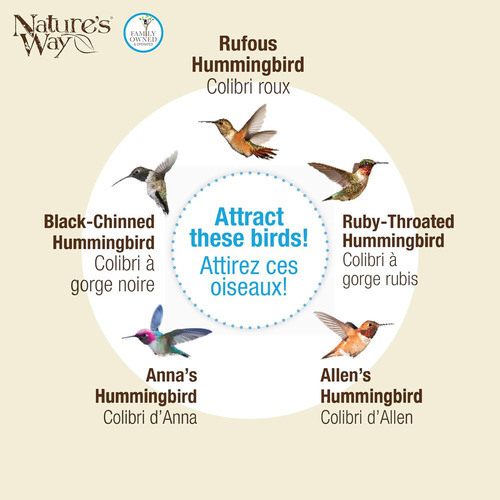 Nature's Way Bird Products Mjf1 Nature's Way Mason Jar Hu...