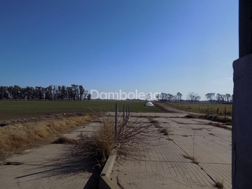 Imagen 6 de 27 de Terreno Campo En Venta En Carmen De Areco, Resto De La Provincia, Buenos Aires