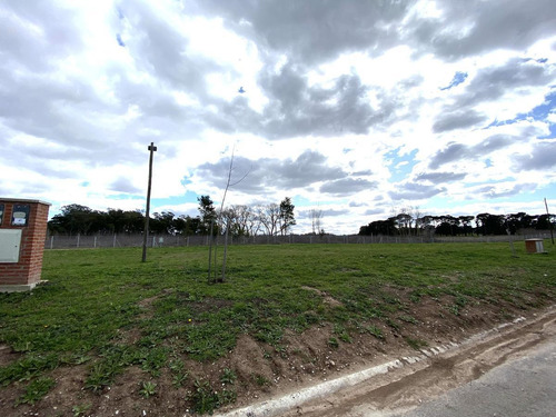 Imagen 2 de 11 de En Venta Lote 41 De Arenas Chico, Mar Del Plata.