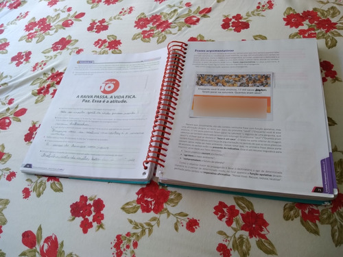 Apostila Anglo 6° Ano Caderno 4 Editora Somos Educação (Usado)