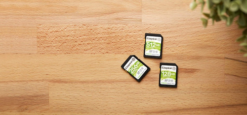 Tarjeta De Memoria Sd Kingston Canvas Select Plus 64gb