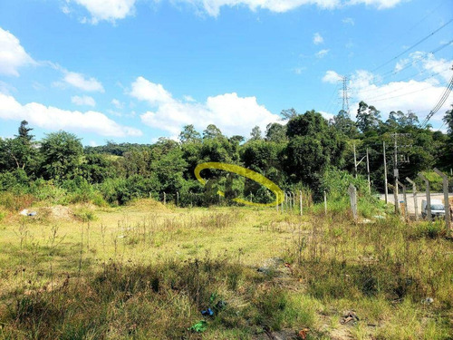 Imagem 7 de 22 de Área À Venda, 20000 M² Por R$ 8.000.000,00 - Chácara Roselândia - Cotia/sp - Ar0205