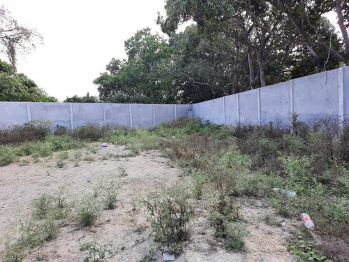 Venta Terreno 1275 M² Col. Cruz Naranjos Tuxpan Veracruz