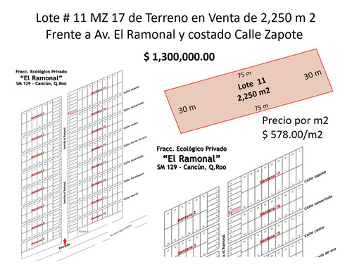 Terreno Ecológico Con Luz, Venta De 2,250 M2, El Ramonal, Cancún-mérida