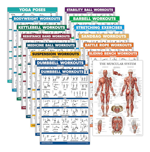 Paquete De 15 Pósteres De Ejerciciomancuernas, Suspensión, P