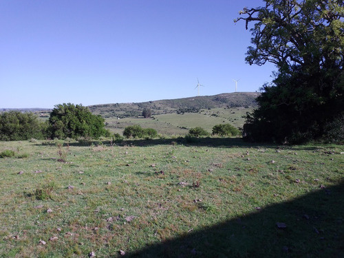 Campo De 110 Hectáreas, Con Arroyo, Buen Acceso