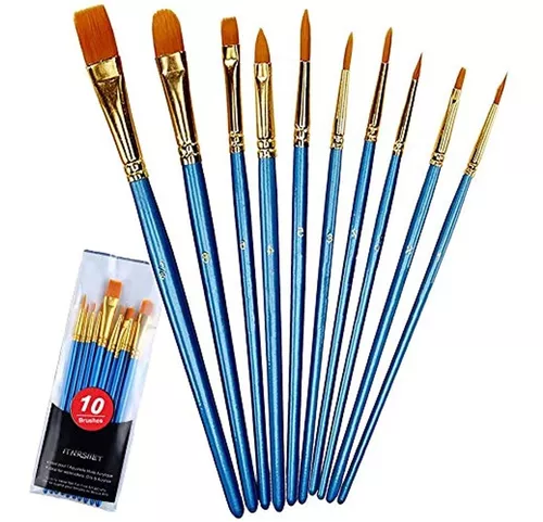 Crafts 4 All - Juego de 12 pinceles para pintura, punta fina, punta  redonda, nailon, pinceles acrílicos para acuarela, 10