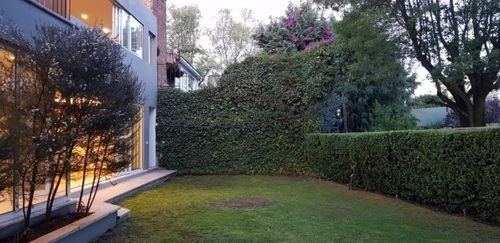 Imagen 24 de 24 de Casa Lomas De Vista Hermosa, Cuajimalpa De Morelos