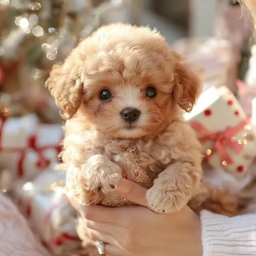 Apto Para Robot-puppy, My Realistic Robot Puppy, Milow