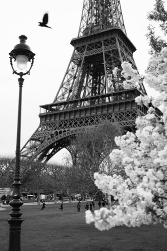 Lamina Fine Art Foto Torre Eiffel Blanco Y Negro  50x70 Cm