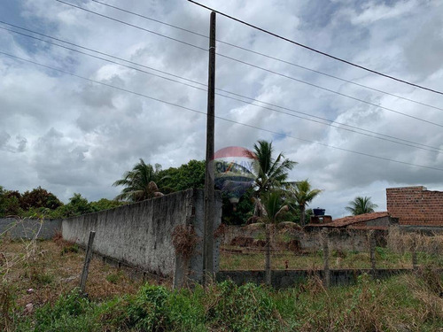 Imagem 9 de 12 de Terreno À Venda, 620 M² - Ponta De Pedras - Goiana/pe - Te0277