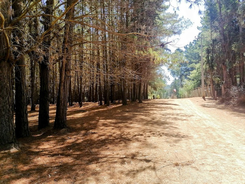 Parcela, Plana, A Orillas Del Camino Antiguo A Las Docas