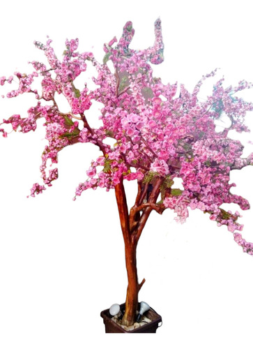 Cerezo Sakura Enano Arbolito Flor Simple O Doble Z/ Floresta