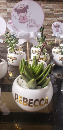 Imagen 4 de 10 de Regalos, Plantas Cactus Suculentas, Matrimonios Bautizo Misa