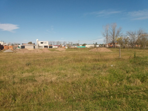 Imagen 2 de 3 de Lotes En Cañuelas.