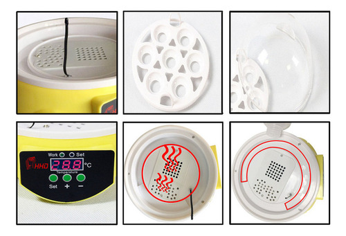 Chocadeira Automática Industrial Elétrica Para Aves Pintinho