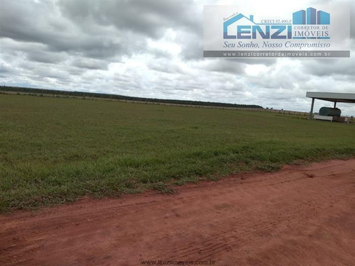 Imagem 13 de 29 de Fazendas À Venda Em Cacu/go - Compre O Seu Fazendas Aqui! - 1479755