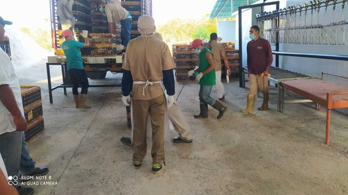 Imagen 19 de 25 de En Venta Finca Matadero De Pollo