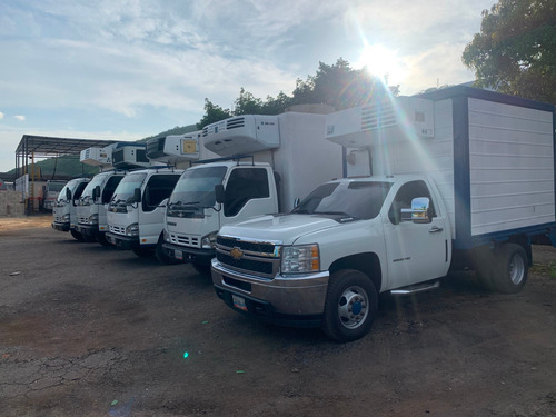 Imagen 1 de 7 de Transporte Refrigerado Y Congelado