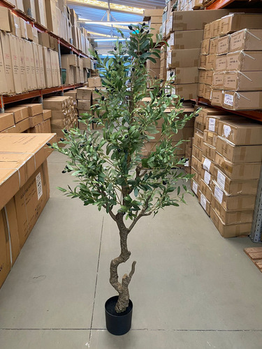 Oliveira Artificial Grande Para Decoração Sala Árvore 180cm Cor Verde