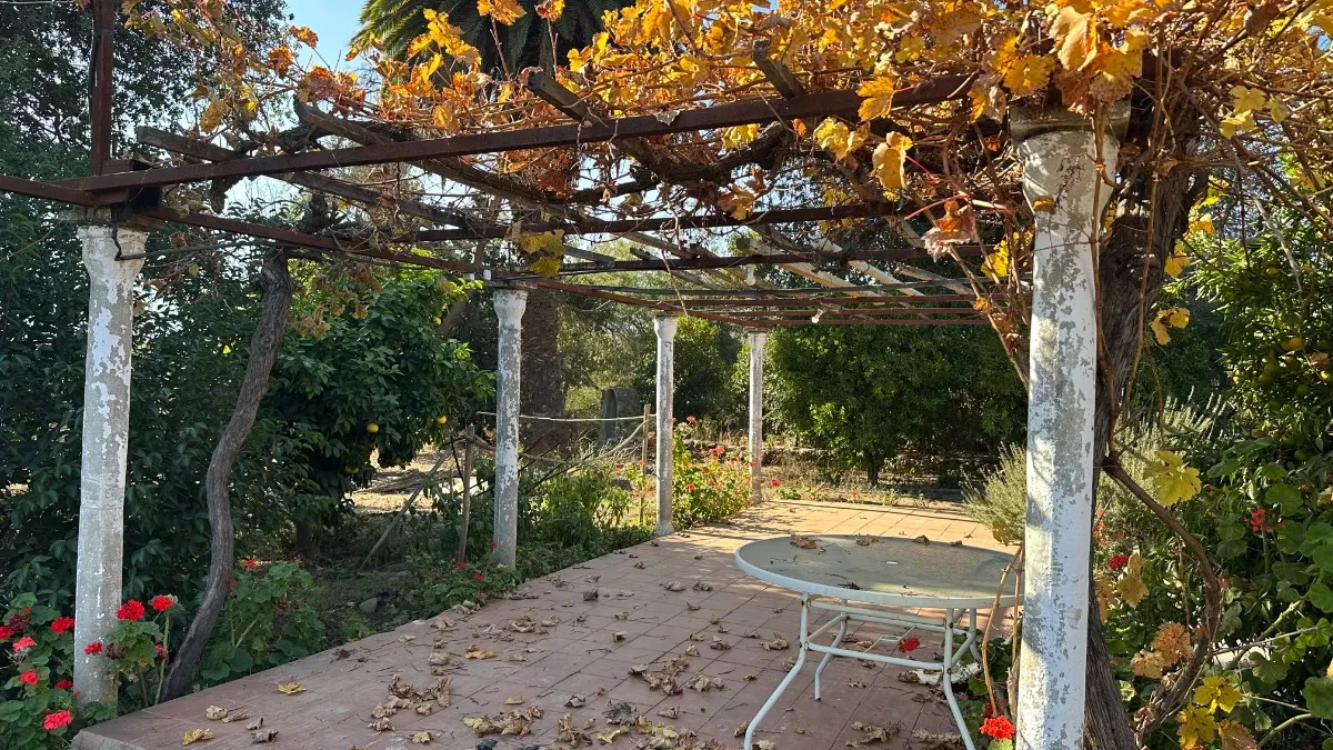 Imagen 1 de 25 de Dos Casas En Precioso Terreno De 1ha