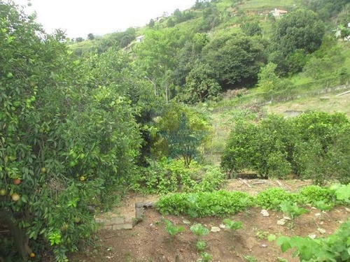 Chácara À Venda, 1400 M² Por R$ 250.000,00 - Vitória Régia - Atibaia/sp - Ch0292