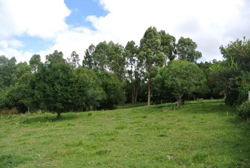 Campo En Venta