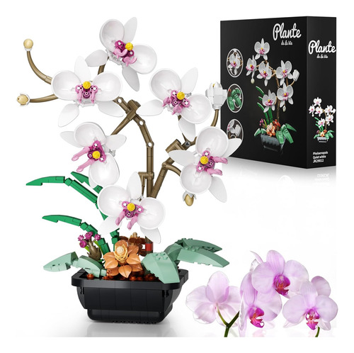 Set De Construcción Botanicals Con Flores De Orquídea, Plant