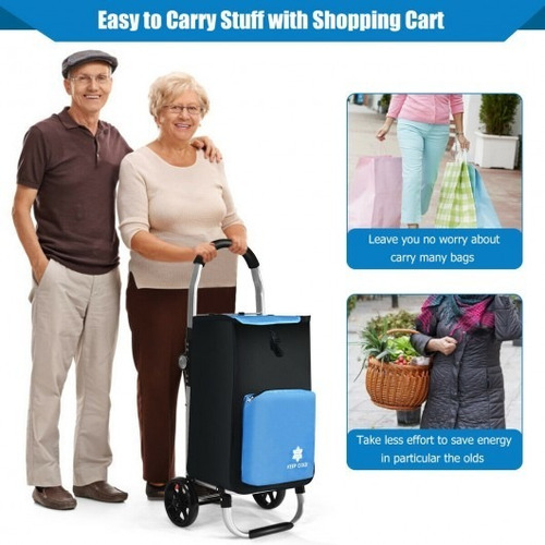Carrito De Compras Plegable Con Bolsa Extraíble-azul