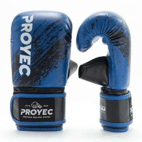 Guantes Boxeo Proyec King Kick Muay Thai Profesional + Bolso