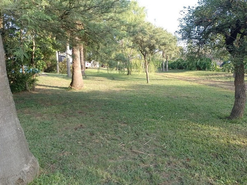 Imagen 7 de 15 de Terreno - Esperanza