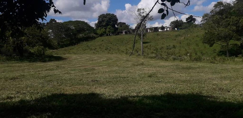 Imagen 14 de 18 de Hermosa Finca De 170has, En Yaracuy, Emss Vende