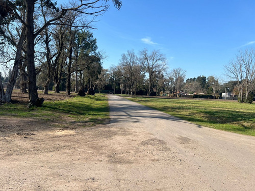 Loteo En Barrio Parque El Remanso - Barrio Los Jazmines - Pilar, Del Viso