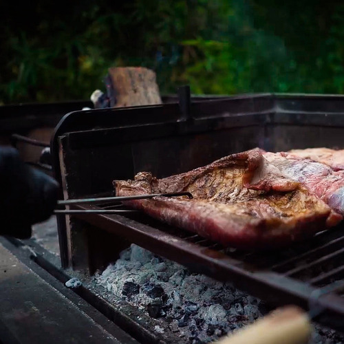 Pinza Parrilla Asador Accesorio Juego Carne Carbón