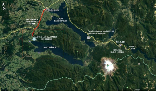 Sitio En Venta En Riñihue Rivera Norte 10 Min Panguipulli