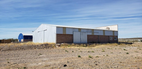 Imagen 6 de 30 de Alquilo Galpon 500 M2 - Predio 11.000 M2 Y Ofi 60 M2 -