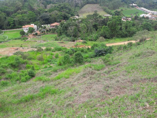 Imagem 6 de 10 de Chacara - Paraiso - Ref: 4980 - V-anp4980