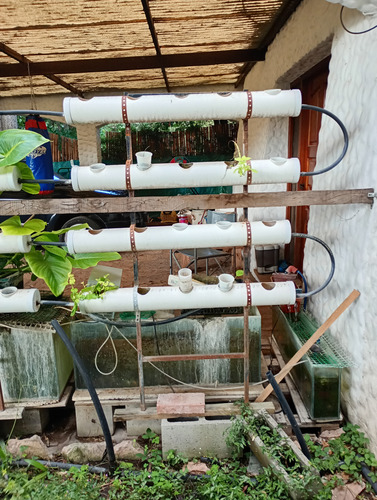Hidroponia O Acuaponia, Estructura Y Caños Para 40 Macetas (Usado)