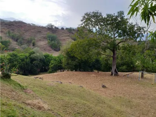 Vendo Finca En San Jeronimo