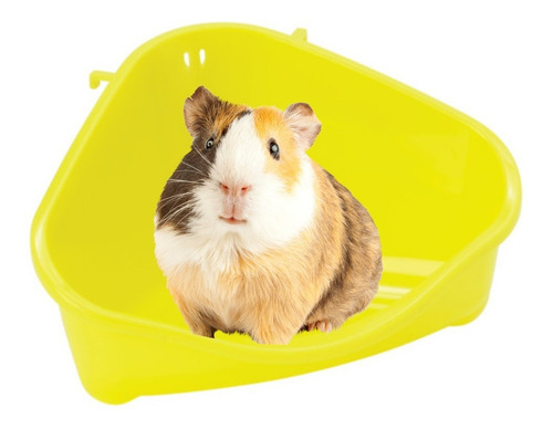 Litera Esquinera Hamster Ratas Jerbos Lauchas Corner Small Color Color Variado