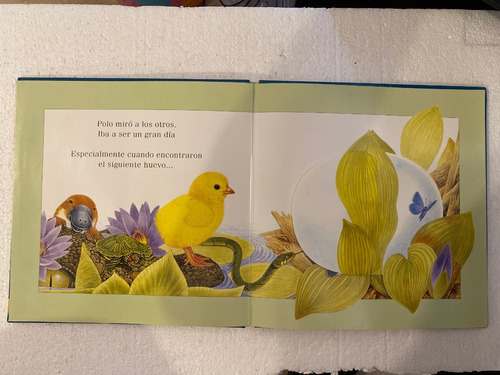 Libro Infantil Una Aventura Con Polo Pollito Busca Encuentra (Usado)