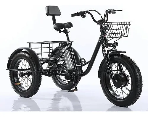  Triciclo eléctrico para adultos, motor de 500 W, bicicleta  eléctrica de montaña con neumáticos gruesos de 48 V 10 Ah, batería de 7  velocidades y 20 pulgadas, triciclo de ciclismo al